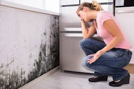 Best HVAC Mold Inspection and Cleaning  in Fort Worth, TX