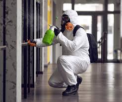 Best Asbestos and Lead Testing During Mold Inspection  in Fort Worth, TX